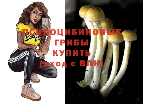 гашик Беломорск