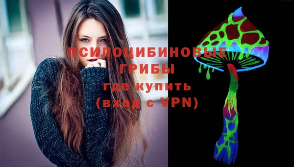гашик Беломорск