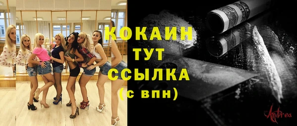 спайс Богородск
